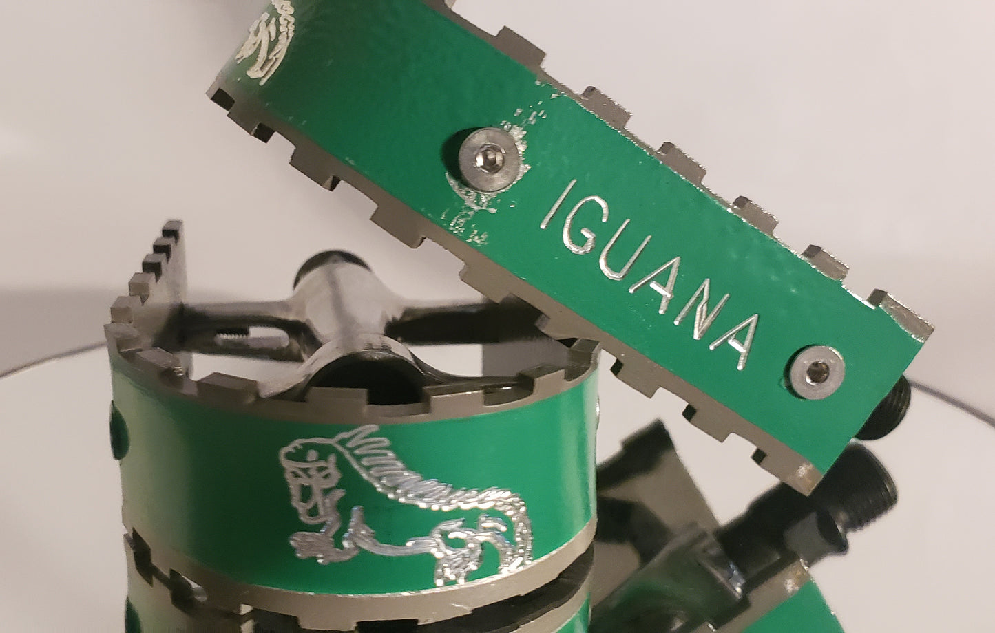 IGUANA