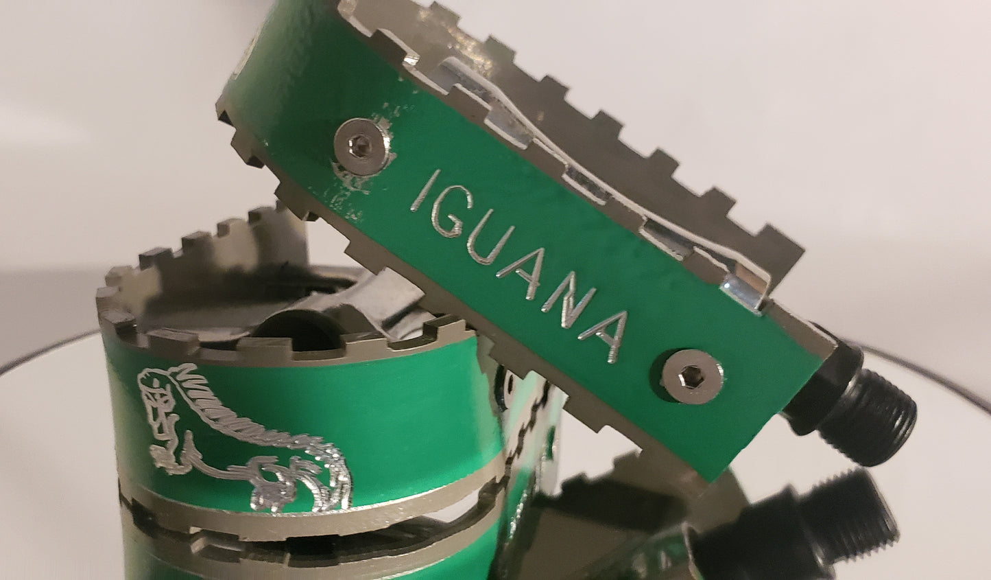 IGUANA