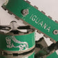 IGUANA
