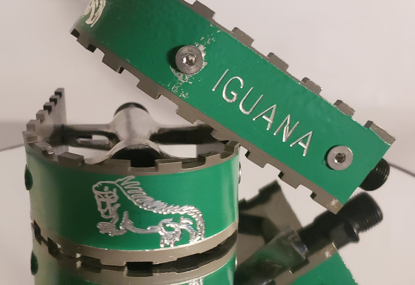 IGUANA